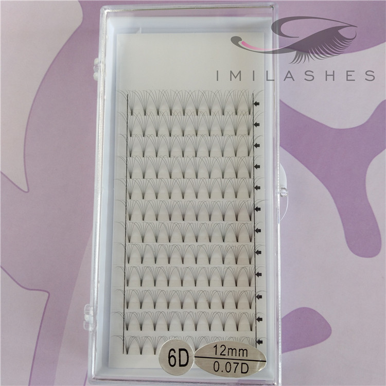 6d premade volume lashes.jpg